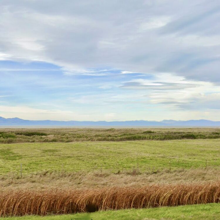 Deux nouveaux Marqueurs-Familles au Kamouraska et dans la Grande-Anse!