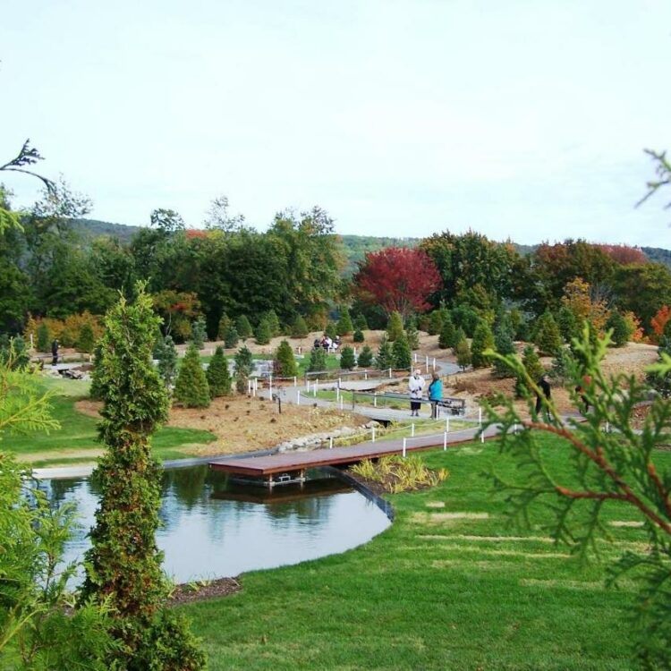 Du nouveau dans le Jardin de François